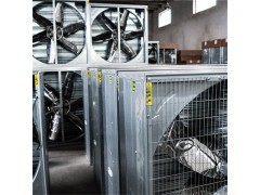 養(yǎng)殖專用排風(fēng)扇|畜牧排風(fēng)扇|養(yǎng)雞風(fēng)機(jī)_風(fēng)機(jī)、排風(fēng)設(shè)備_環(huán)境保護(hù)_商城_中國貿(mào)易網(wǎng)